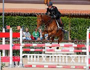 Datti Queen Heart GioCav2013 S5 4049 : Campionati Italiani Giovani Cavalli, Cattolica, Datti Nicola, Queen Heart, ph Stefano Secchi ©